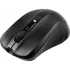 Мышь беспроводная Acer OMR010 (ZL.MCEEE.005), черная Мышь беспроводная Acer OMR010 (ZL.MCEEE.005), черная